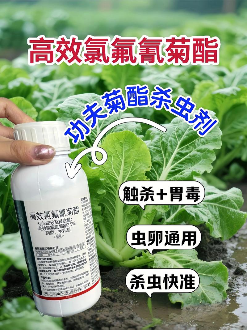 吉林代生中心:农药对供卵代生妈妈的危害